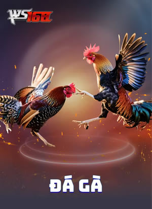 Đua Ngựa Tinh Anh